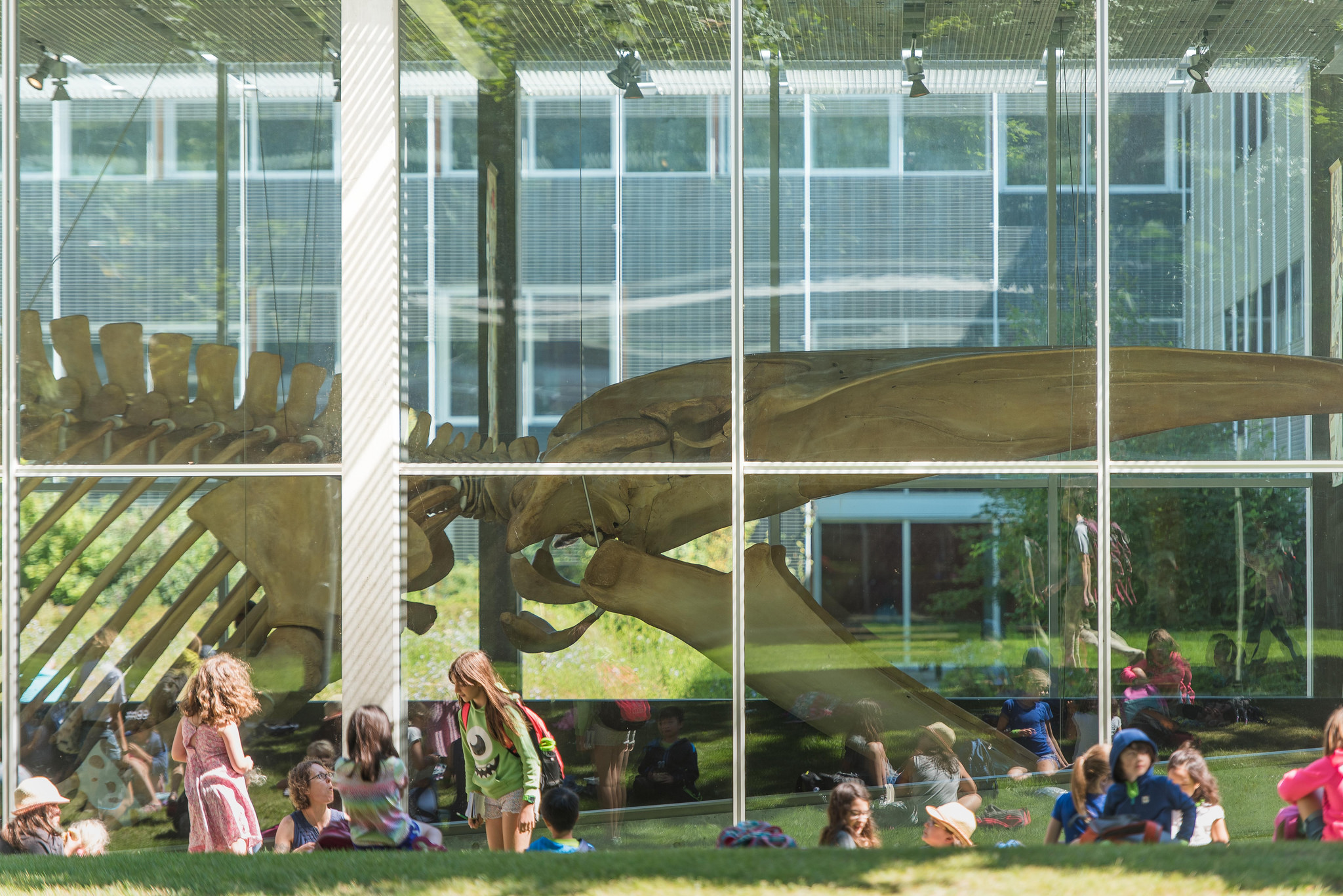 archaeology, ubc