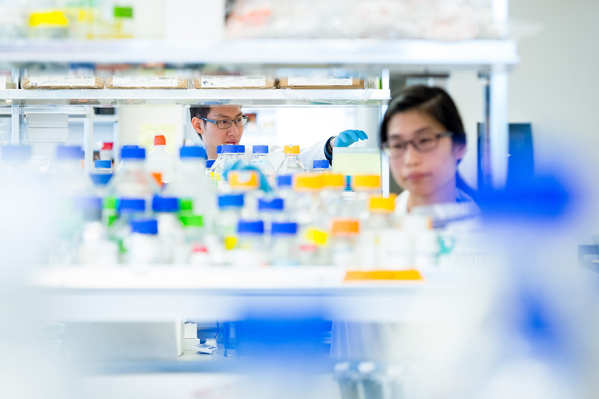 biochemistry, ubc