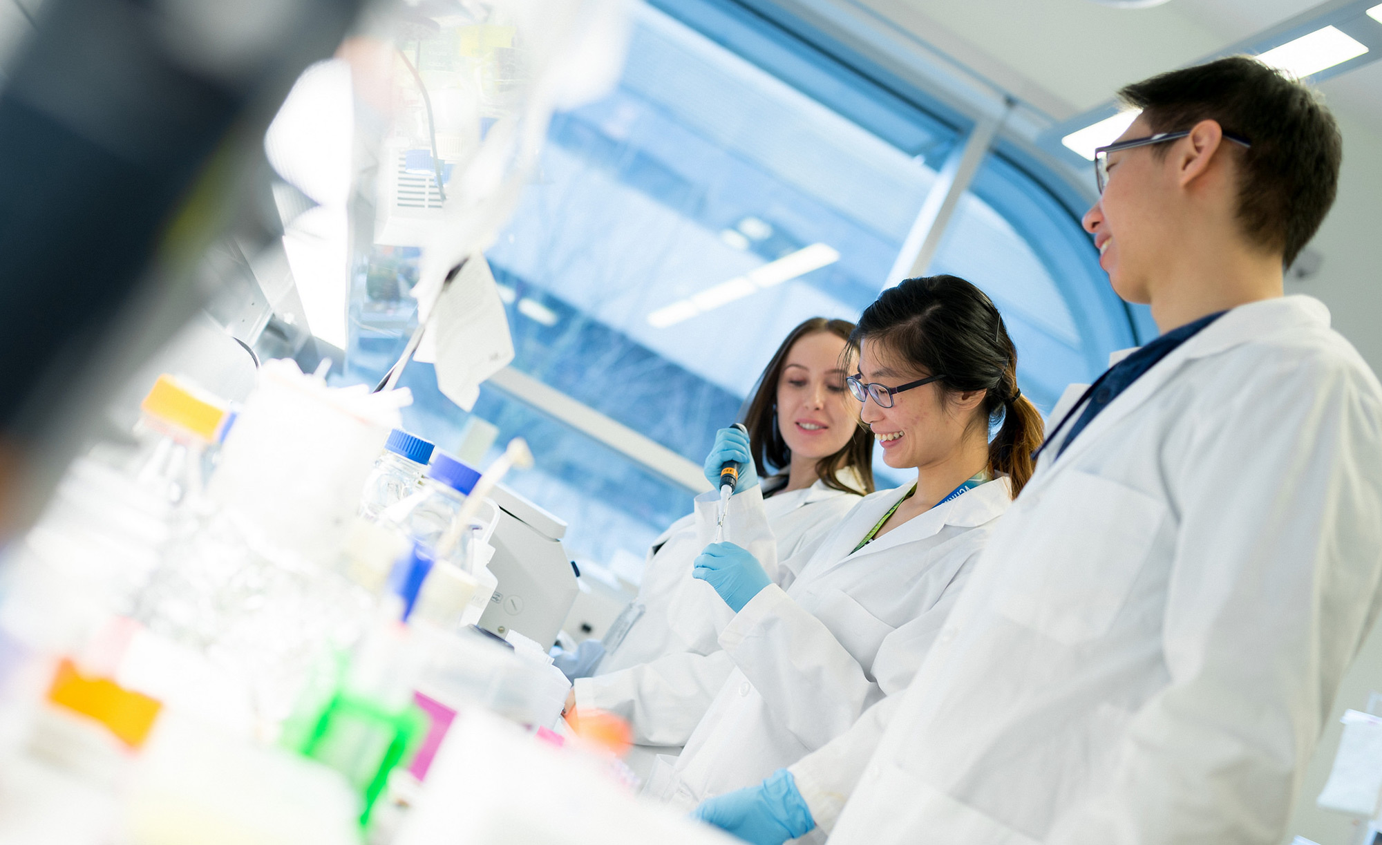 cellular, anatomical, physiological sciences, ubc