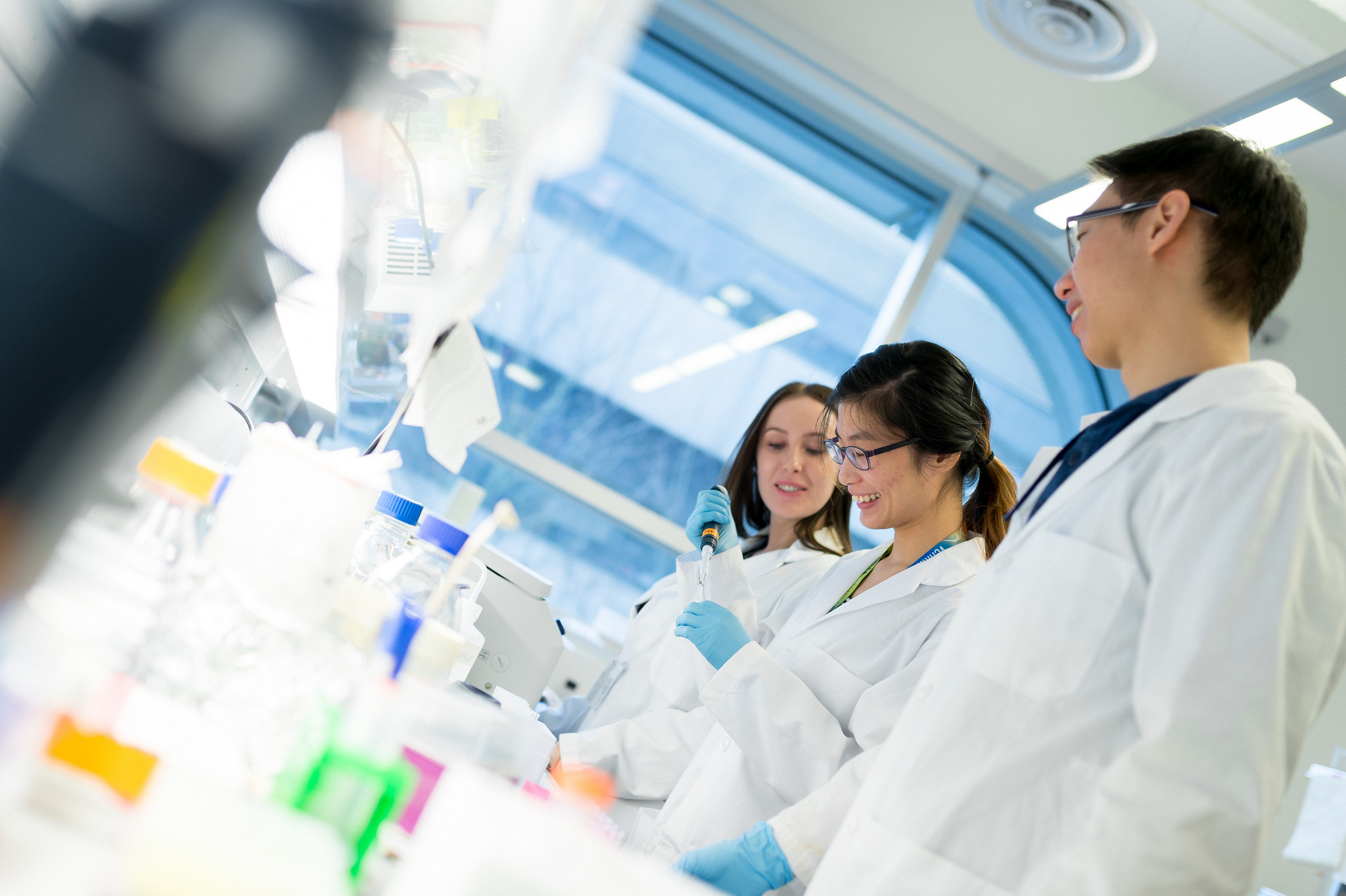chemical biological engineering, ubc