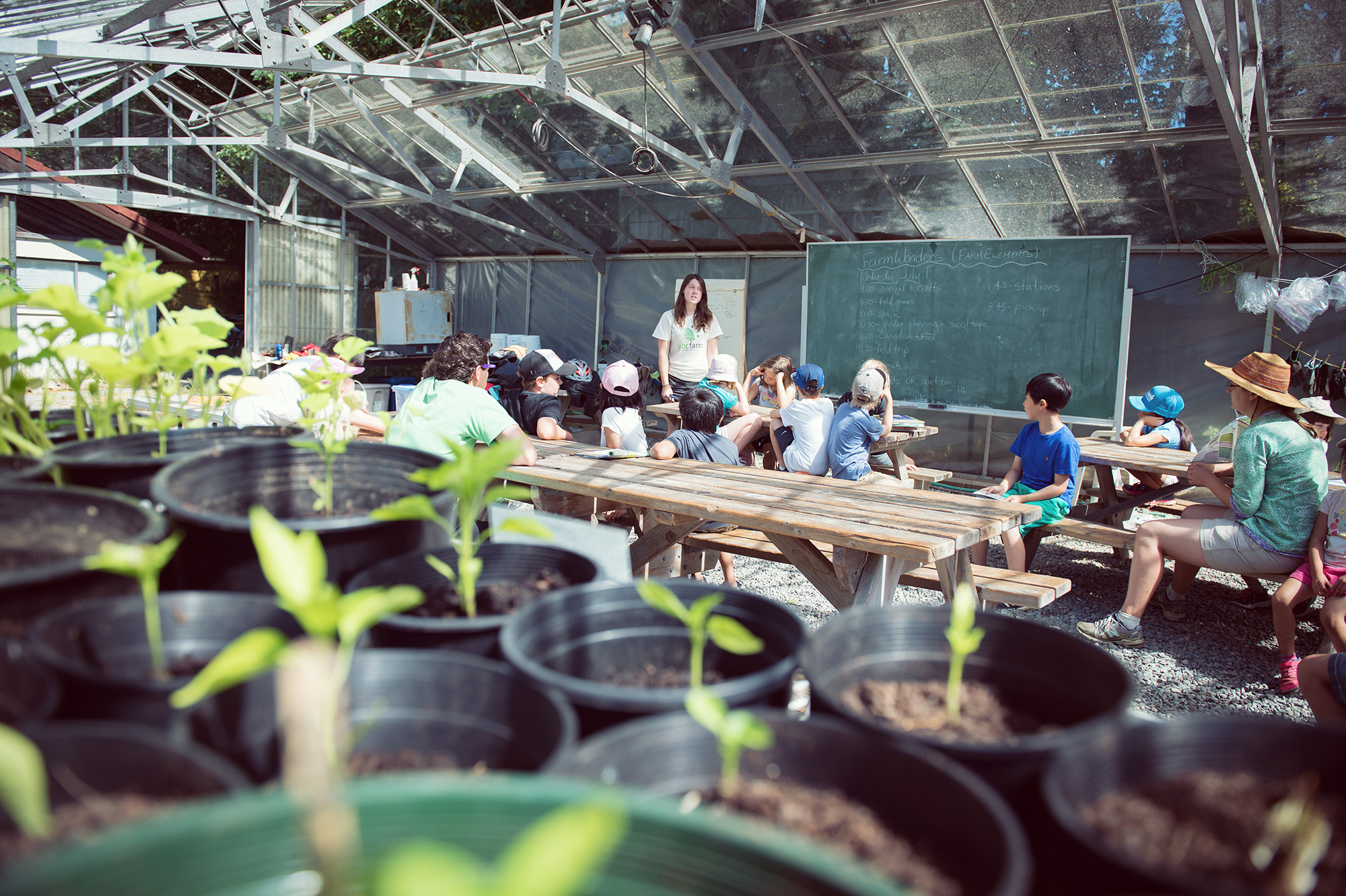 education, teaching children, ubc