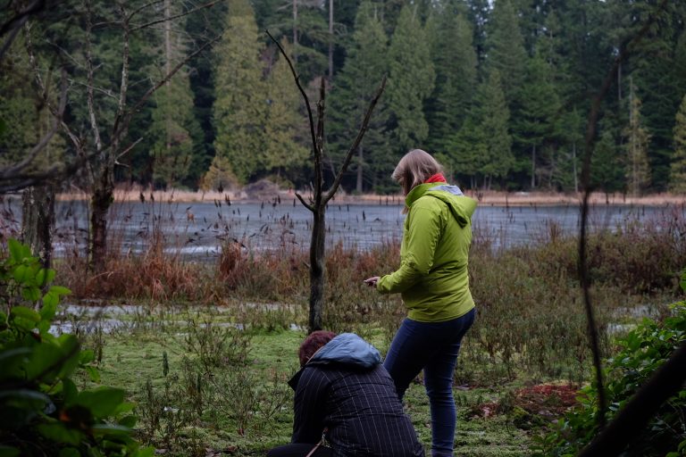 environmental sciences, ubc