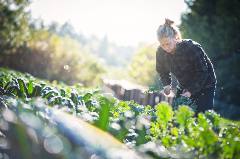 food and nutritional sciences, ubc