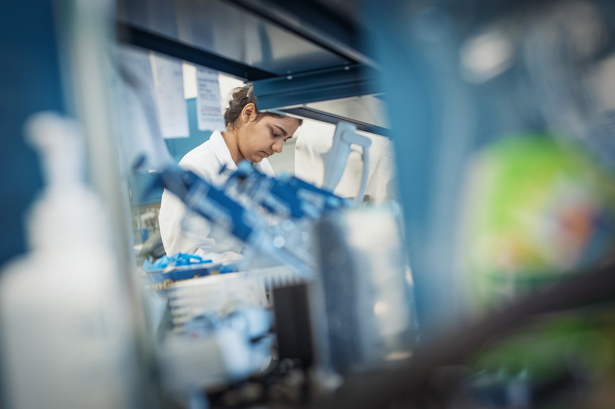 microbiology and immunology, ubc