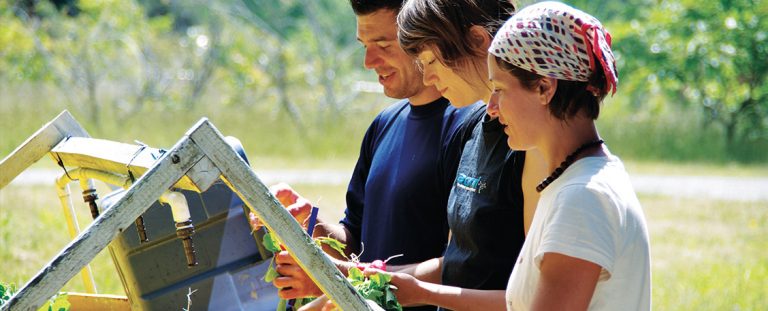 students at UBC Farm
