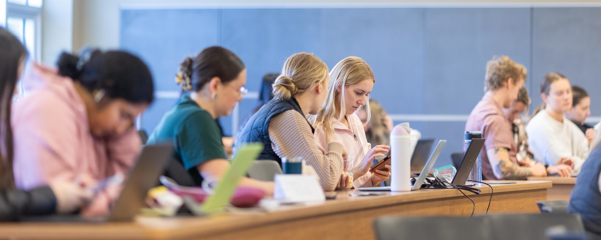 Students sitting in a lecture hall
